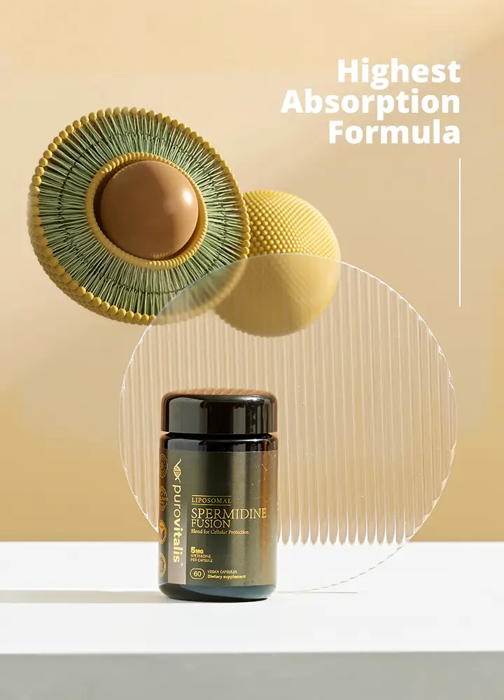 Liposomal Spermidine Fusion, The ultimate spermidine supplement, highest dose and optimal absorption